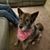 Rhonda Wise Forbes's profile image