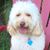 Natasha Coiran Ludwig's profile image