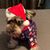 Glenda Kessen's profile image
