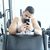 Nascimento Lee's profile image