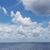 Dayana Polito's profile image