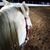 Melissa E. Dawson's profile image