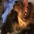Landen T. Fulks's profile image