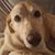 Leni Baker's profile image
