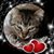 Freda Pain's profile image