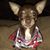 Pamela Briggs's profile image