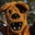 PSU-Lion Di's profile image