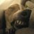 Wes Rigler's profile image