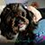 Vicki Nash's profile image