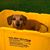 Mindy Mears's profile image