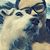 Dawn Kotz Livingston's profile image