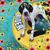 Cynthia Jane Walters's profile image