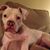 Melissa Striegel Chamberlin's profile image