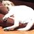 Leigh Brent's profile image