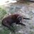 Kellie Shepherd Fleck's profile image