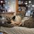 Nancy Beitzel's profile image