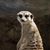 Ivan Melgrati's profile image
