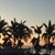 Lisa D'Ascoli's profile image