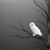 Jenna Meggett's profile image