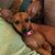 Nickie Hartsock's profile image