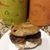Connie Anderson's profile image