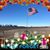 Shirley A Deschenes's profile image