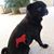 Sara Strickland's profile image