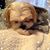 Joanne Fucci's profile image