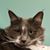 Mary V Candlin's profile image