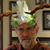 Michael Miller's profile image