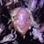 Helen Ericsson's profile image