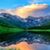 Annette Doveri Anderson's profile image