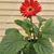 Jayne Shoup's profile image