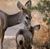 Karri Thomas's profile image