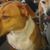 Wendy Pearson's profile image