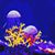 Lisa Christine Burton's profile image
