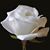 Kristina Mattson's profile image