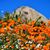 Tom Bowen's profile image