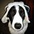 Vicki Hughes's profile image