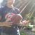Brandon Ybarra Bahena's profile image