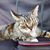 Janice Keatts's profile image