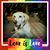 Christopher Figueiredo's profile image
