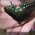 Gloria Holloway Church's profile image