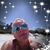 Lisa Thompson's profile image