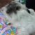 Karen Calabro's profile image