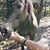 Janet Biondo Shafner's profile image
