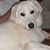 Wendy Albrecht's profile image