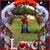 Criollo Wolter's profile image