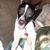 Keshia Pruett's profile image
