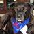 Jennifer Zeidler's profile image